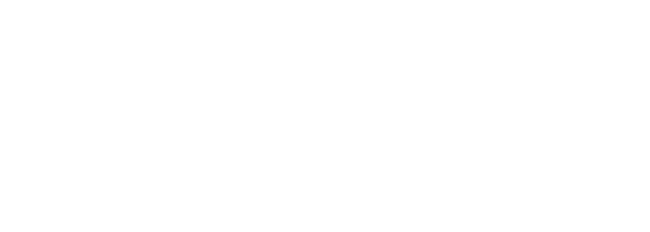 本格炭火博多焼鳥 将軍
